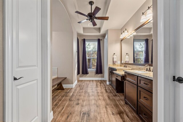 full bathroom featuring double vanity, wood finished floors, a raised ceiling, and a sink