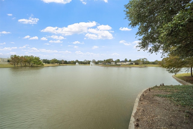 property view of water