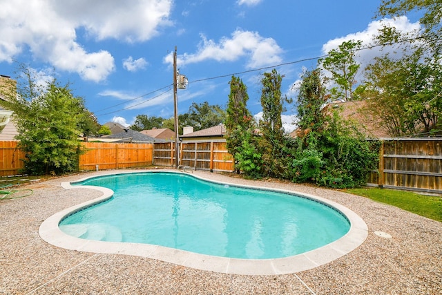 view of pool with a patio area