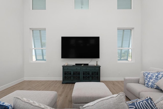 living room with light wood-type flooring and a healthy amount of sunlight