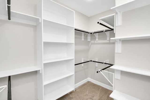 spacious closet featuring carpet