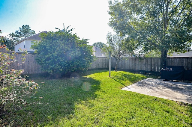 view of yard featuring a patio area