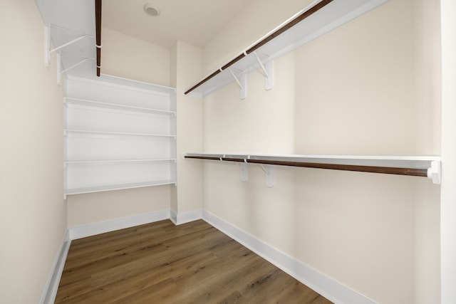 spacious closet featuring dark hardwood / wood-style flooring