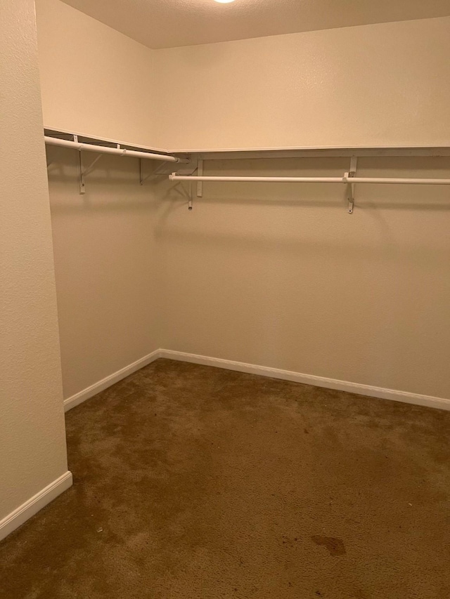 walk in closet with dark carpet