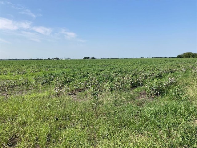 Listing photo 2 for TBD Highway 60, East Bernard TX 77435