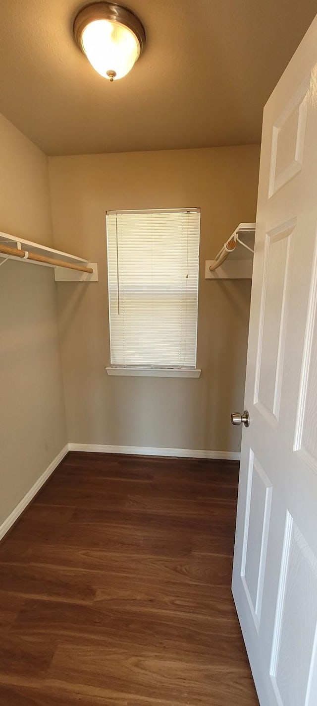 spacious closet with dark hardwood / wood-style flooring