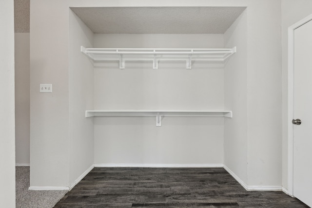 spacious closet featuring dark wood-type flooring