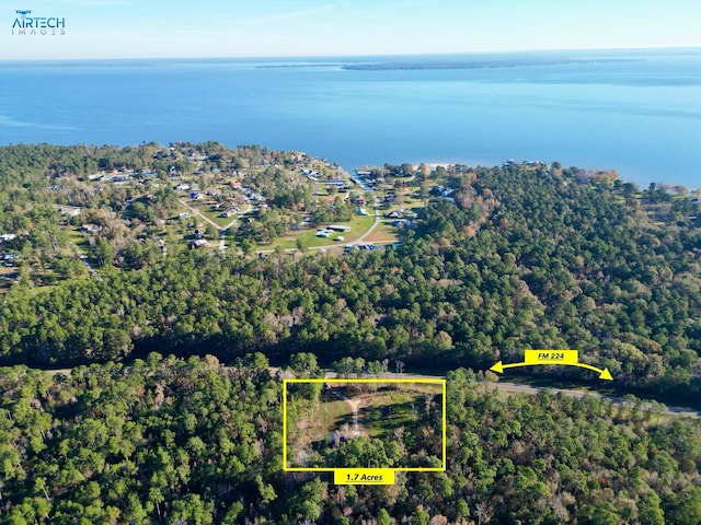 1000 Fm 224th Rd, Coldspring, TX 77331 - aerial view of property's location featuring property boundaries highlighted and a large body of water
