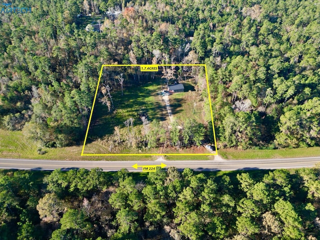 1000 Fm 224th Rd, Coldspring, TX 77331 - aerial view of property's location with property boundaries highlighted