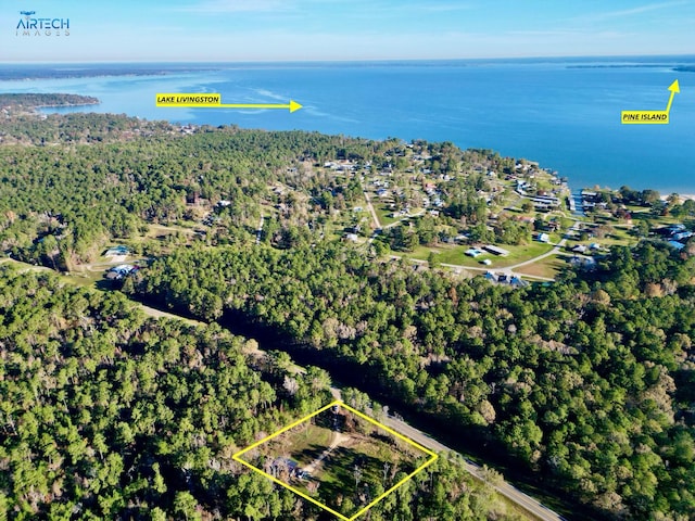 1000 Fm 224th Rd, Coldspring, TX 77331 - view of property location with property parcel outlined and a large body of water
