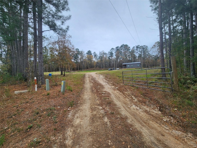 1000 Fm 224th Rd, Coldspring, TX 77331 - view of dirt / gravel driveway with a gate, a wooded view, and a gated entry