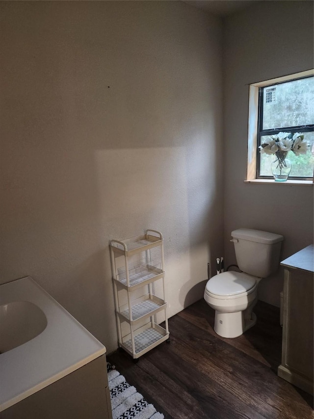 bathroom featuring vanity, hardwood / wood-style flooring, and toilet