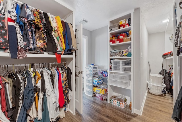 spacious closet with wood-type flooring