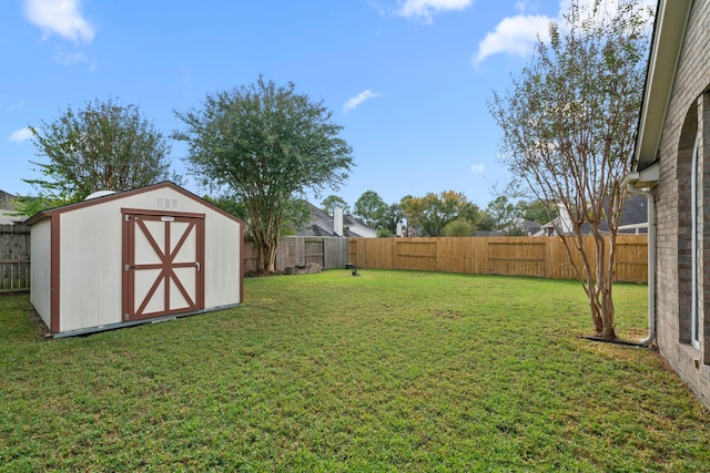 view of yard featuring a shed