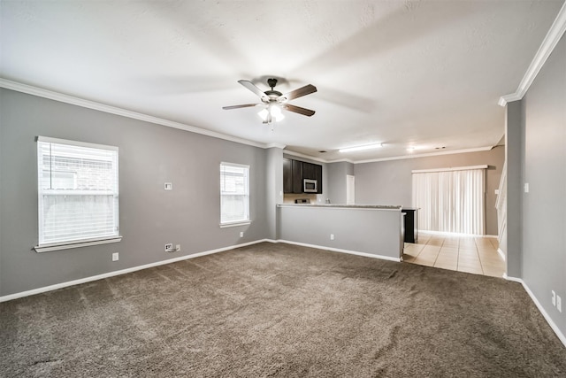 spare room featuring ceiling fan, carpet floors, and ornamental molding