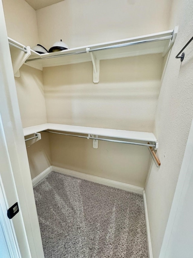 spacious closet featuring carpet