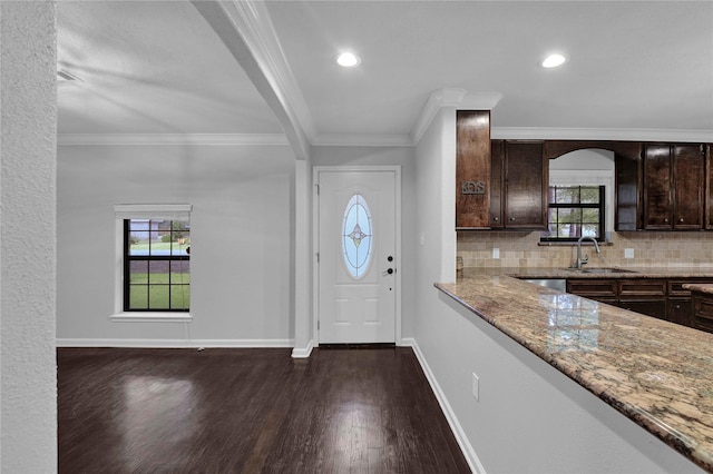 entrance foyer with crown molding, dark hardwood / wood-style flooring, and sink