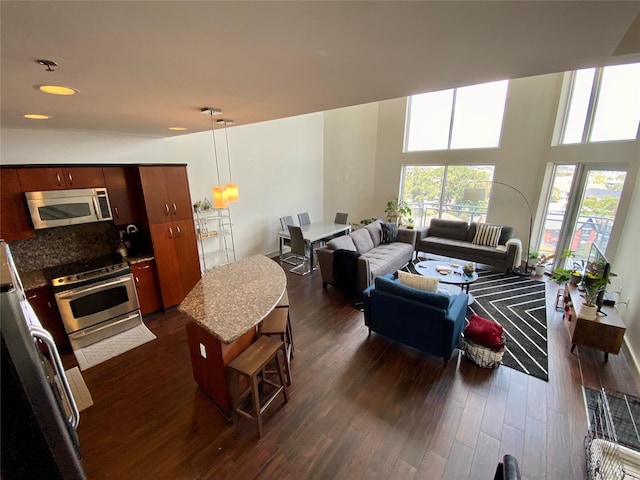 living room with dark hardwood / wood-style flooring