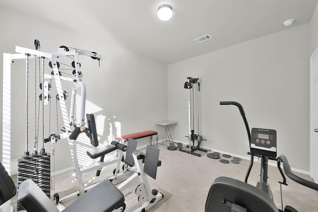 exercise room featuring carpet floors