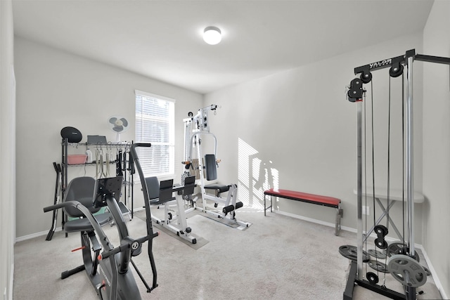 workout area featuring carpet floors