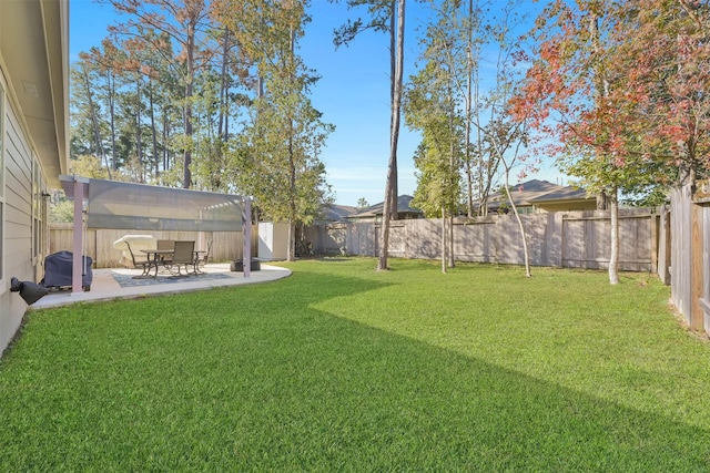 view of yard featuring a patio area