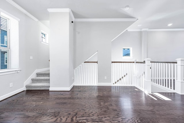 interior space featuring crown molding and dark wood-type flooring