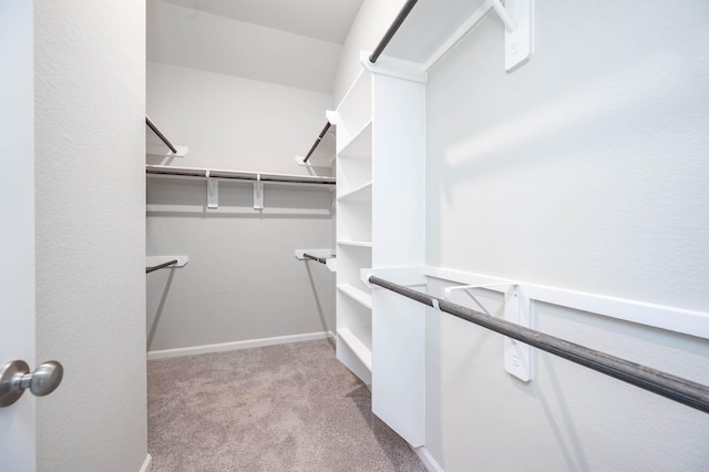 walk in closet with light carpet