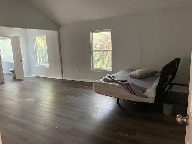 sitting room featuring plenty of natural light, dark hardwood / wood-style floors, and vaulted ceiling