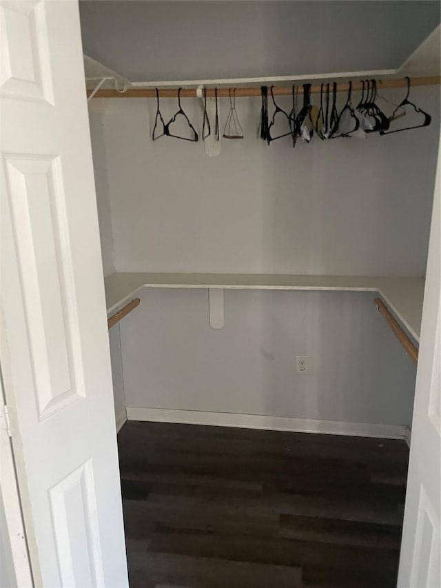 spacious closet featuring dark hardwood / wood-style floors