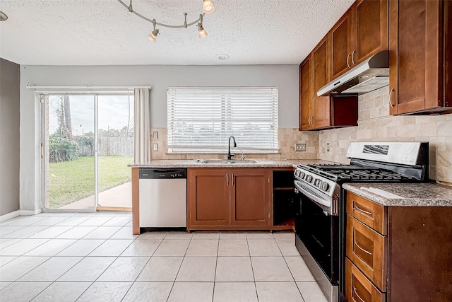 kitchen with dishwasher, gas stove, a wealth of natural light, and sink