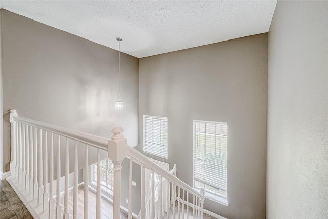 hallway featuring a textured ceiling and hardwood / wood-style flooring