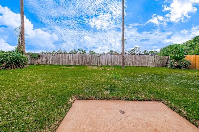 view of yard featuring a patio