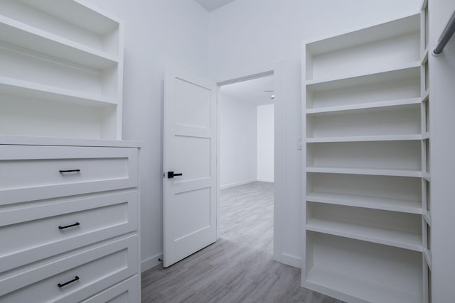 spacious closet with light wood-type flooring