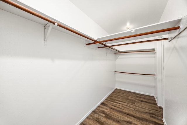 spacious closet featuring dark wood-type flooring