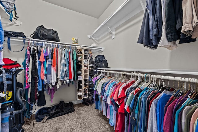 spacious closet featuring carpet floors