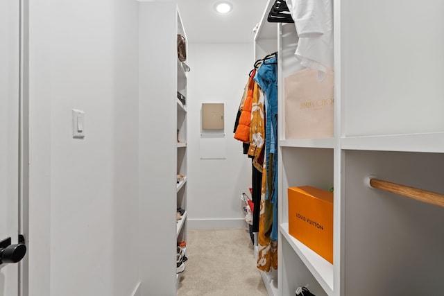 spacious closet with light colored carpet