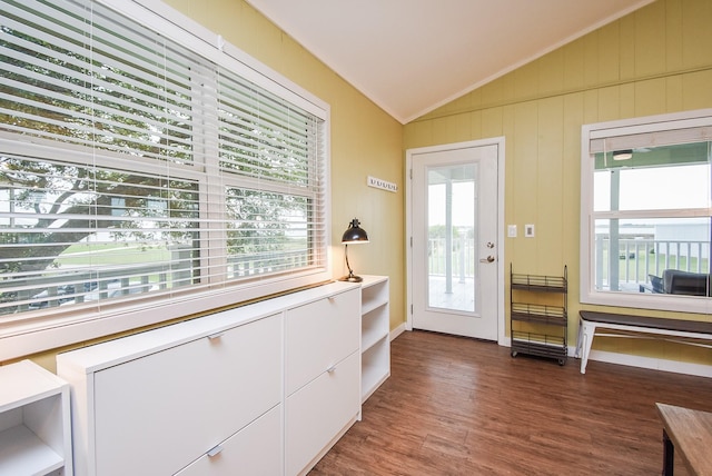 entryway with dark hardwood / wood-style floors, a healthy amount of sunlight, and lofted ceiling