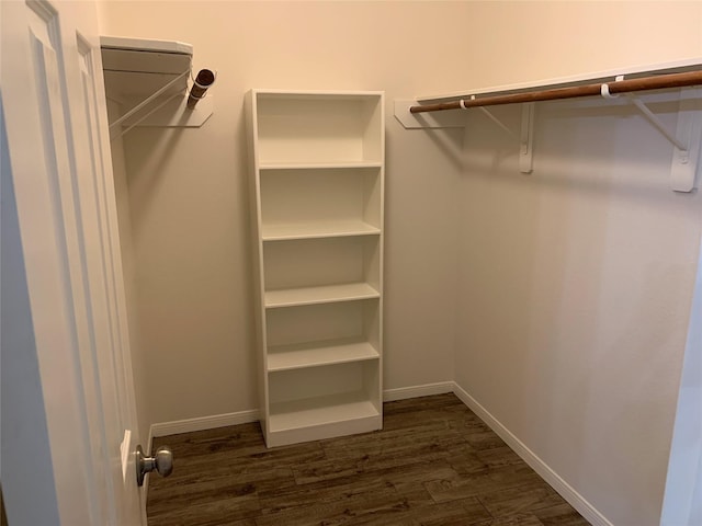 spacious closet featuring dark hardwood / wood-style floors