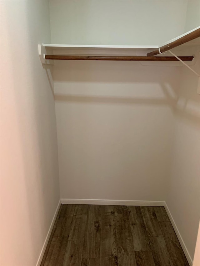 walk in closet featuring dark hardwood / wood-style flooring