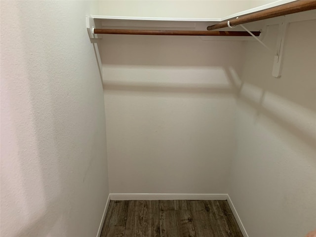 walk in closet with wood-type flooring