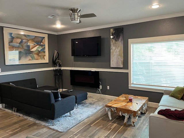 living room featuring ceiling fan, wood-type flooring, and ornamental molding