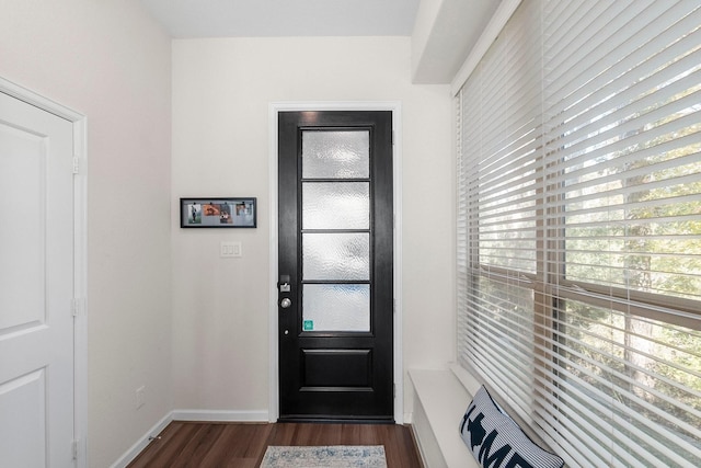 foyer with dark wood-type flooring