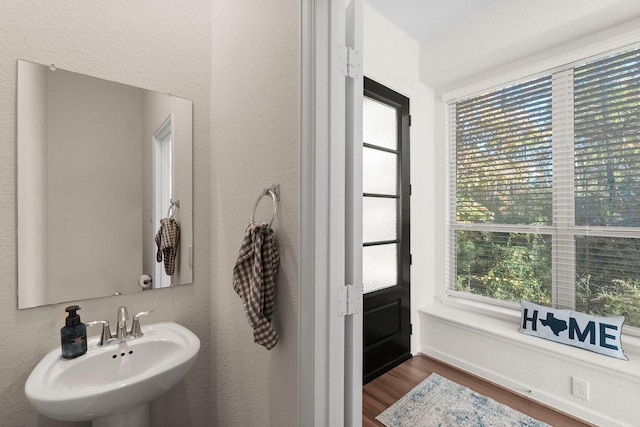 bathroom featuring hardwood / wood-style flooring and sink