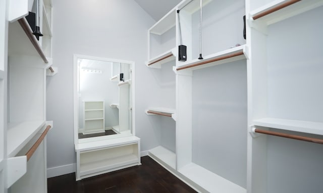 walk in closet with dark hardwood / wood-style flooring