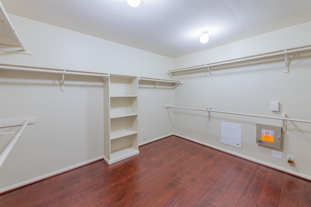 spacious closet featuring dark hardwood / wood-style flooring