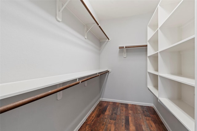 spacious closet featuring dark hardwood / wood-style flooring