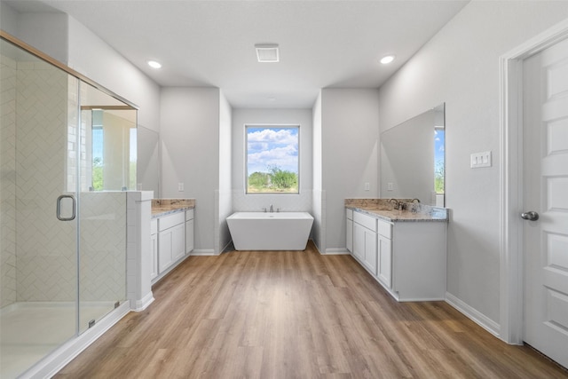 bathroom featuring plus walk in shower, hardwood / wood-style floors, and vanity