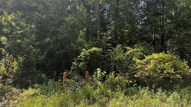 9678 Wingfield Dr, Lumberton, TX 77657