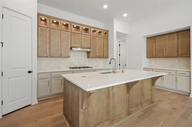 kitchen featuring light wood-type flooring, a sink, under cabinet range hood, and decorative backsplash
