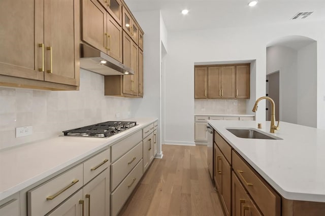 kitchen with a sink, stainless steel appliances, under cabinet range hood, visible vents, and wood finished floors